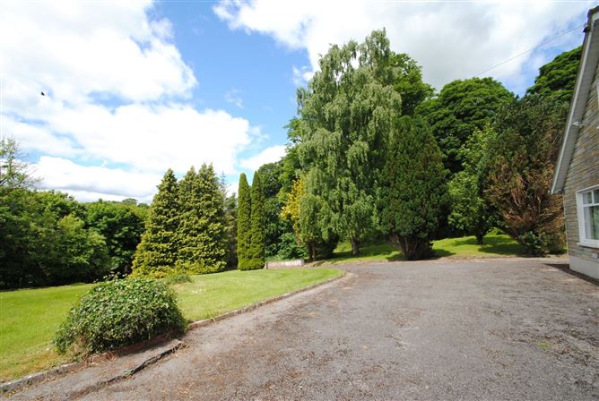 Millpark, Birr Road, Roscrea, Co. Tipperary