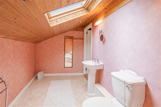 Millpark, Birr Road, Roscrea, Co. Tipperary
