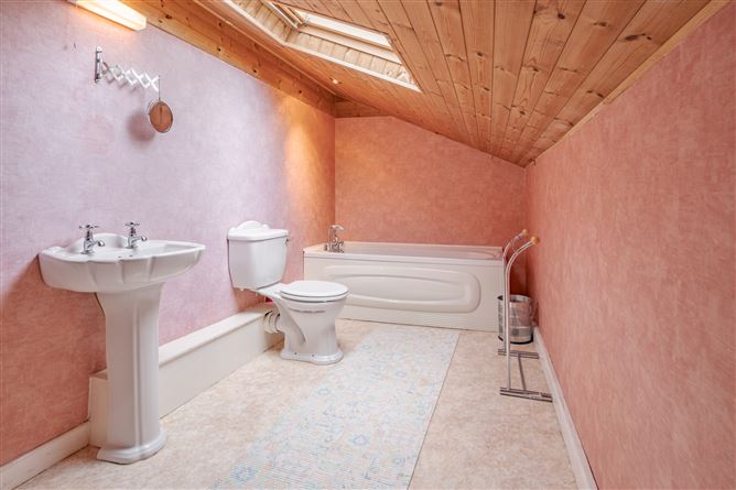 Millpark, Birr Road, Roscrea, Co. Tipperary