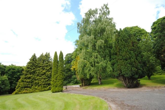 Millpark, Birr Road, Roscrea, Co. Tipperary