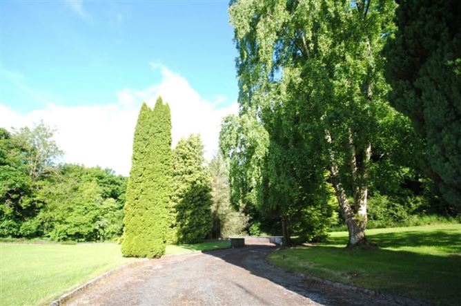 Millpark, Birr Road, Roscrea, Co. Tipperary