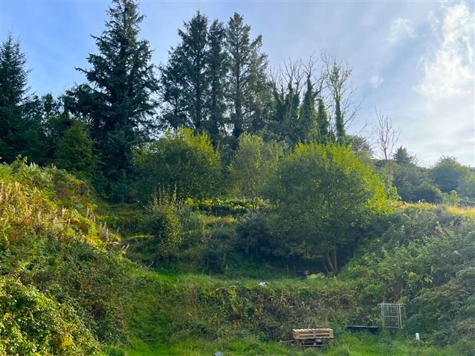 "Saundersgrove Hill Cottage", Stratford-On-Slaney, Baltinglass, Wicklow