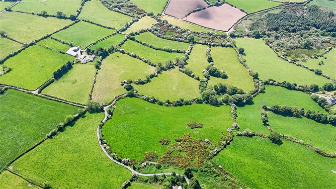 Derelict cottage on c. 28 acres at Coolyhune, Coolyhune, Graiguenamanagh, Co. Kilkenny