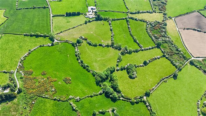 Derelict cottage on c. 28 acres at Coolyhune, Coolyhune, Graiguenamanagh, Co. Kilkenny