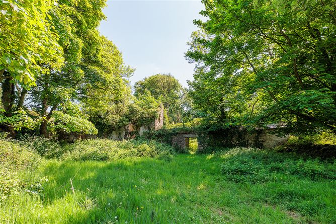 Derelict cottage on c. 28 acres at Coolyhune, Coolyhune, Graiguenamanagh, Co. Kilkenny