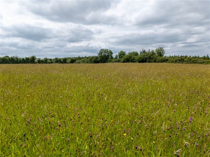 Cadamstown, County Offaly