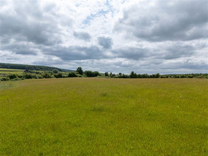 Cadamstown, County Offaly