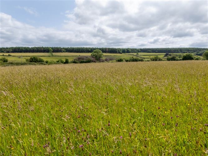 Cadamstown, County Offaly