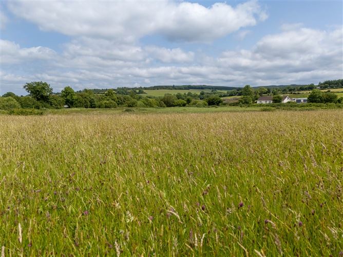 Cadamstown, County Offaly