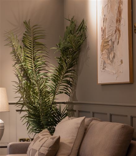 Photo 5 of 49 — Amara, 10a Green Park, Rathgar, Dublin 14