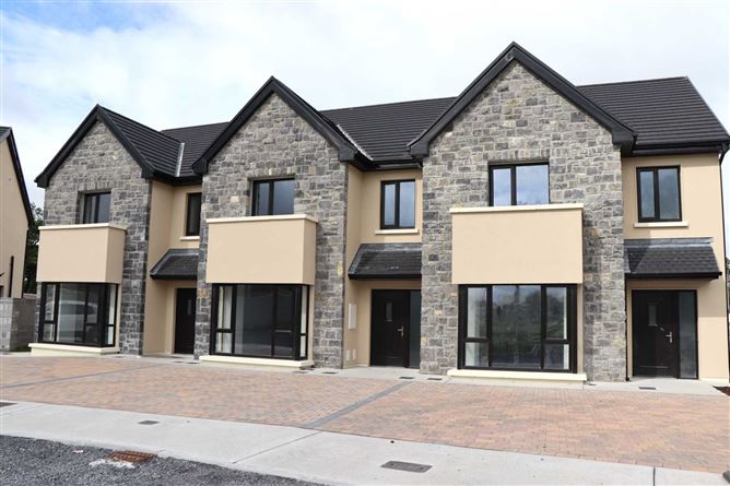 the willows, raheen, athenry, co. galway h65 vn81