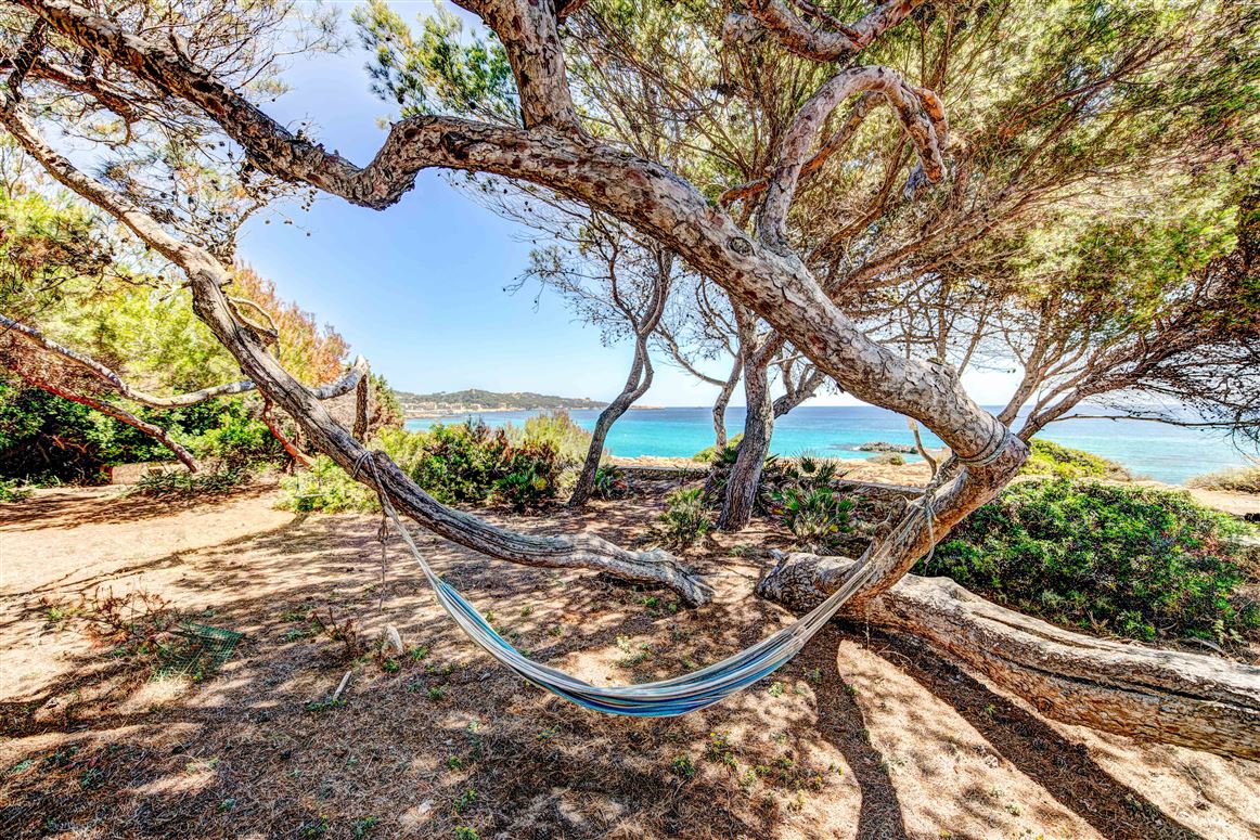 Sun,Son Moll, Balearic Islands, Spain