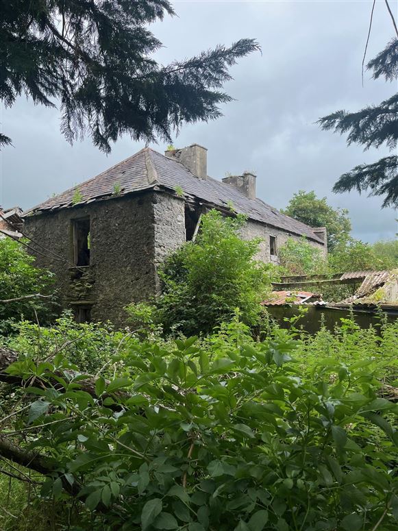 Glebe house ruins & Pig Farm, Killorglin, Kerry