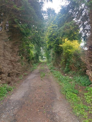 Ballinamona , Hospital, Limerick