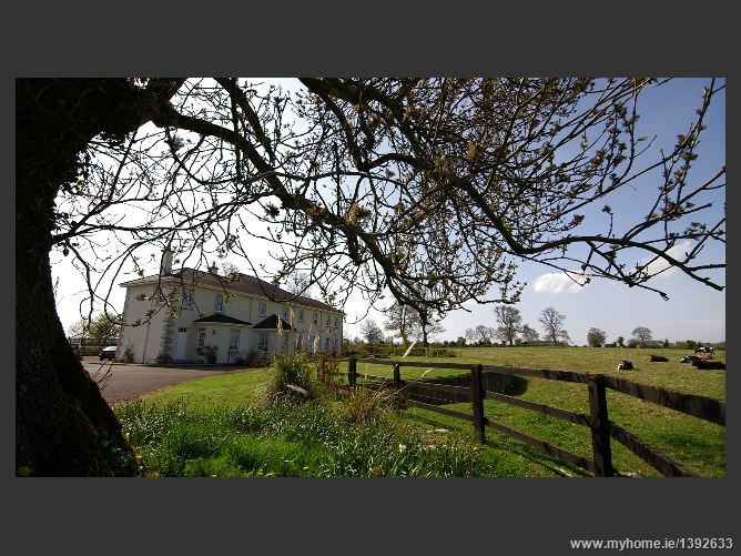 Milden, Osberstown, Naas, Co. Kildare