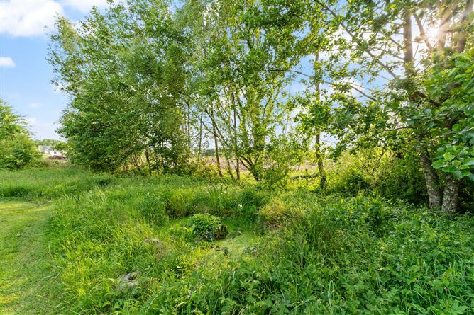 2 Killascaul, Kiltullagh, Athenry, Galway
