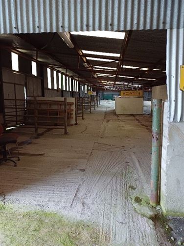 Portlaoise Mart, Meelick, Portlaoise, Co. Laois