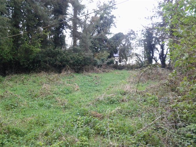 Rathnagrew Lower, Hacketstown, Hacketstown, Carlow
