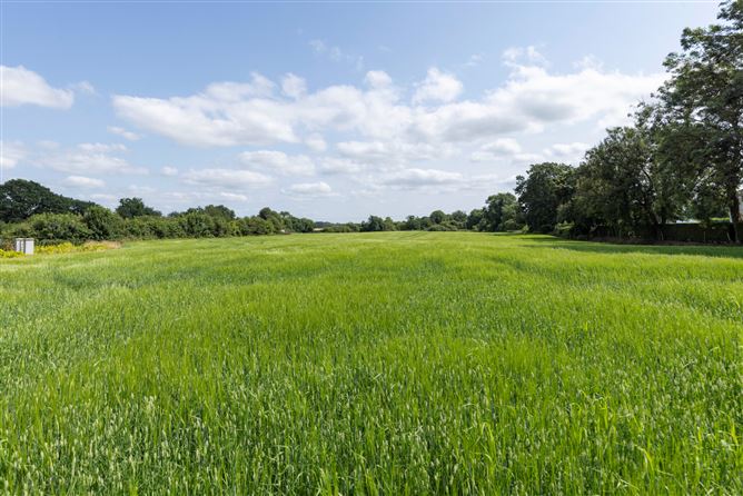 Clongill, Wilkinstown, Navan, Co. Meath