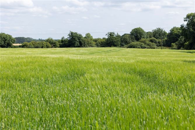 Clongill, Wilkinstown, Navan, Co. Meath