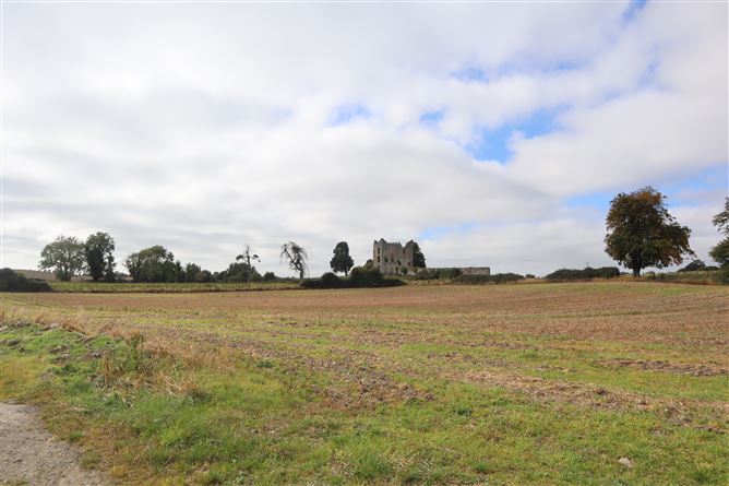 Louth Hall, Tallanstown, Louth