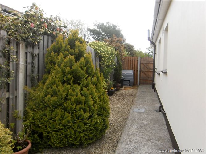 Ardmore Wood Herbert Road, Bray, Wicklow