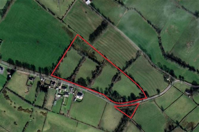 Main image for Derelict Dwelling on C.12 Acres Of Agricultural Land at Ballinlough, Oldcastle, Co.Meath, Kells, Co. Kilkenny
