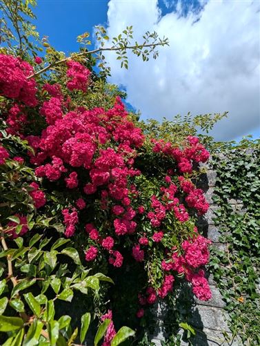 Photo 29 of 32 — 42 Clybaun Court, Clybaun Road, Knocknacarra, Galway City