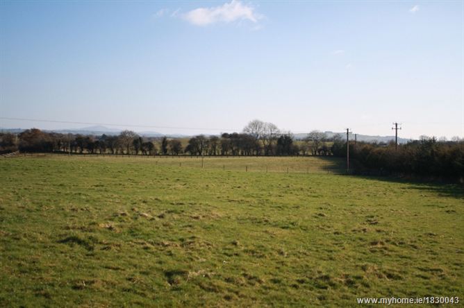 Hacklow Cross, Kilcullen, Co. Kildare