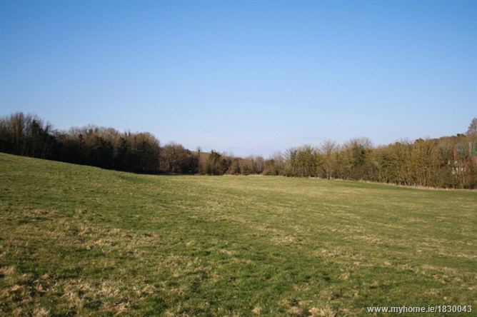 Hacklow Cross, Kilcullen, Co. Kildare