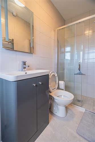 Birrinagh, Moyne, Longford