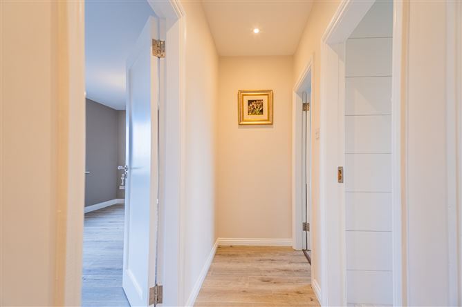 Birrinagh, Moyne, Longford