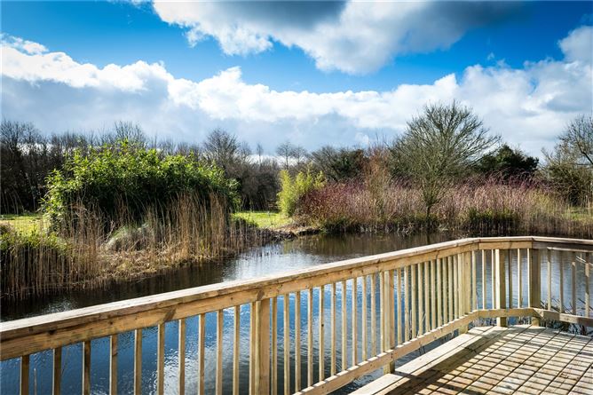Ballygibbon, Carbury, Co. Kildare