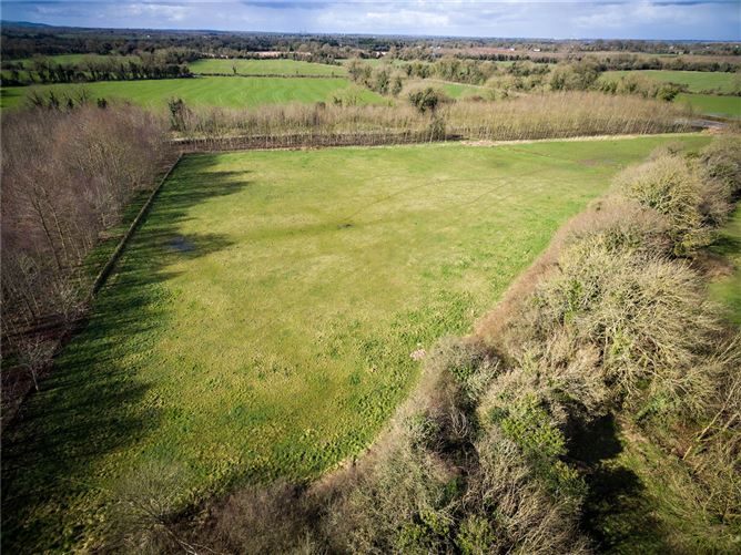 Ballygibbon, Carbury, Co. Kildare