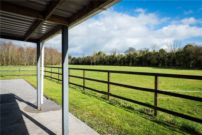 Ballygibbon, Carbury, Co. Kildare