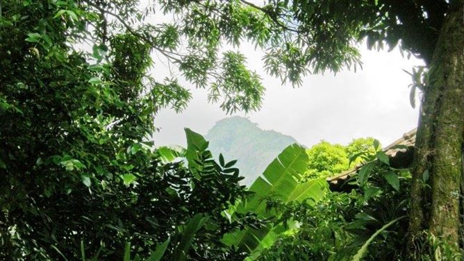 Private, R. das Flores, ILHA GRANDE, Abraao