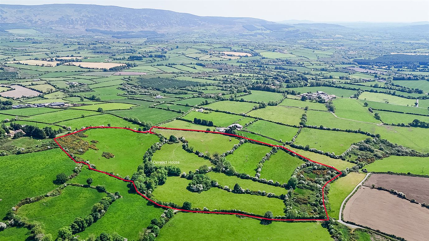 Derelict cottage on c. 28 acres at Coolyhune, Coolyhune, Graiguenamanagh, Co. Kilkenny