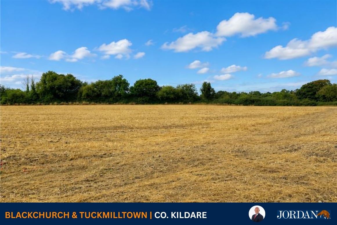 c. 14.5 Acres, Blackchurch & Tuckmilltown, Kill, Kildare