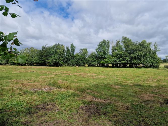 0.5 Acre Site, Moyriesk, Quin, Co. Clare