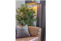 7 Morristown Green, The Paddocks