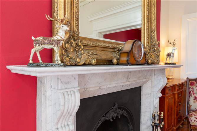 https://photos-a.propertyimages.ie/media/3/4/3/4922343/9ca539d5-5d25-4849-aac7-c71b2cbc95cf_l.jpg