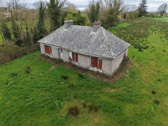 Derelict Residence On C. 14.40 Acres, Derryvode, Williamstown, County Galway