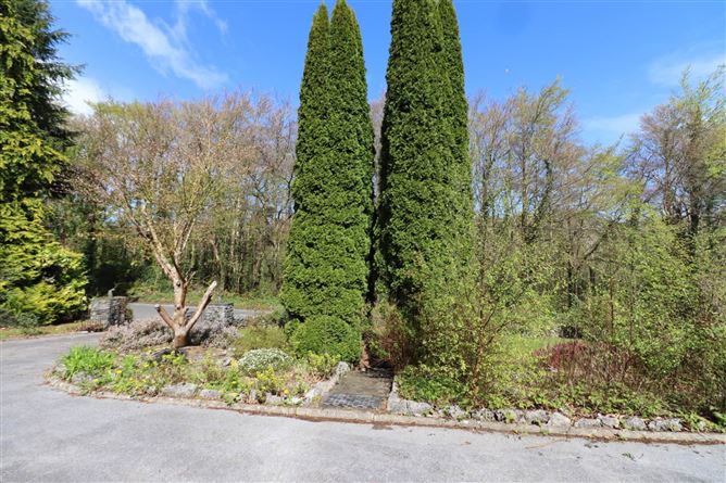 Gortachalla, Moycullen, County Galway