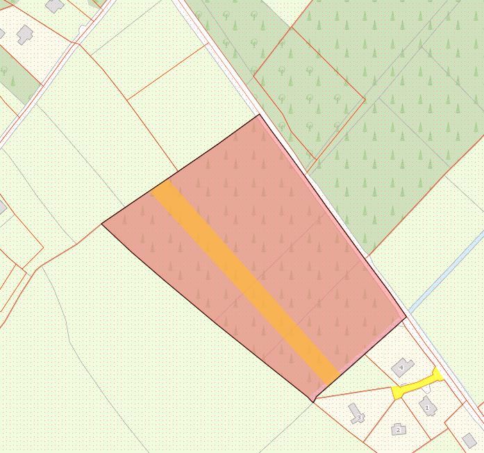 Forestry, Callinafercy, Milltown, Kerry