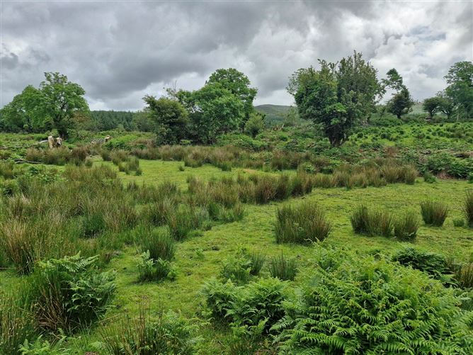 Kilgortaree, Kenmare, Kerry