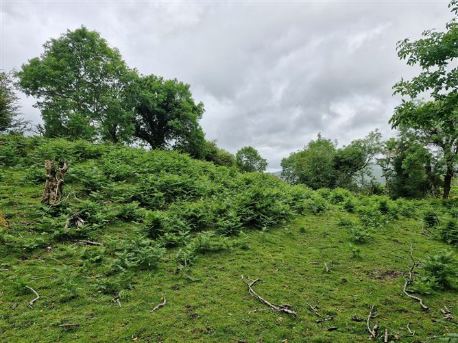 Kilgortaree, Kenmare, Kerry
