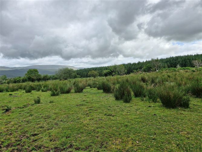 Kilgortaree, Kenmare, Kerry