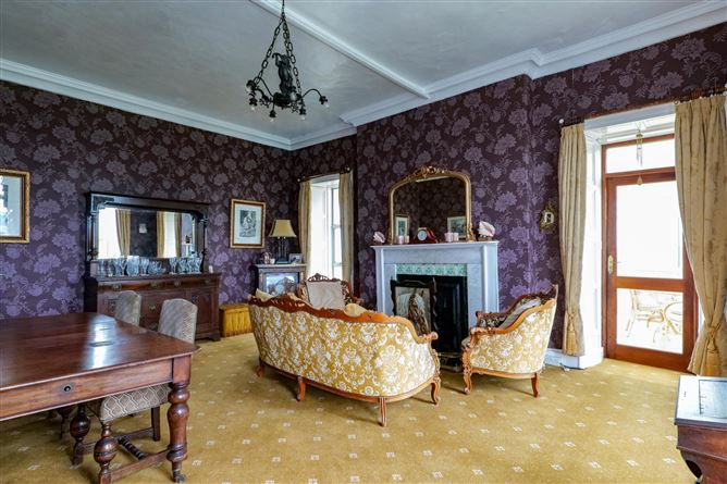 Photo 13 of 42 — Bushy Park House, Bushypark, Galway