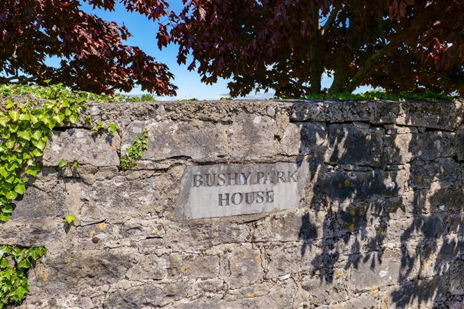 Photo 6 of 42 — Bushy Park House, Bushypark, Galway