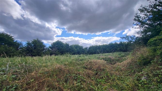 Photo 9 of 10 — Killenaule, Co. Tipperary, Killenaule, Tipperary